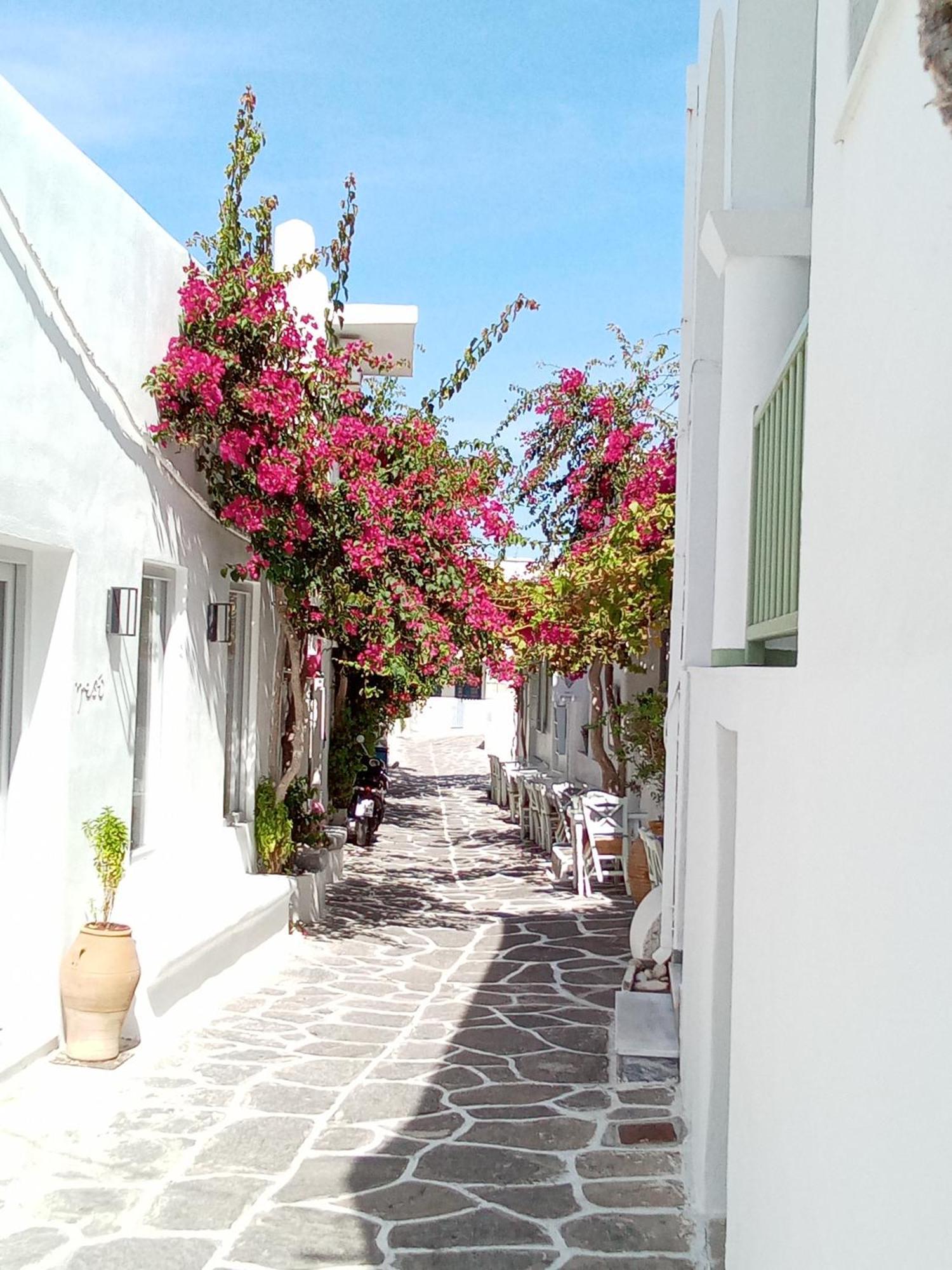 Sunloft-Paros Apart otel Zambujeira do Mar Dış mekan fotoğraf